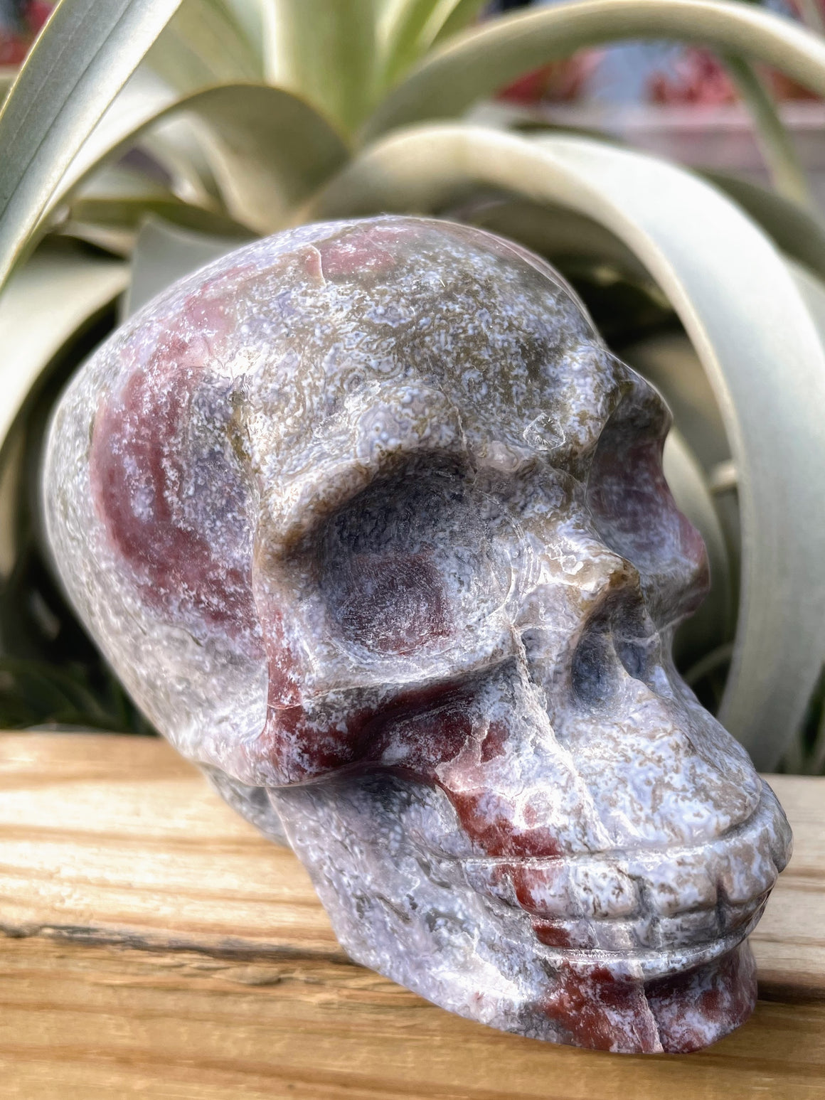 Large Druzy Ocean Jasper Skull Carving