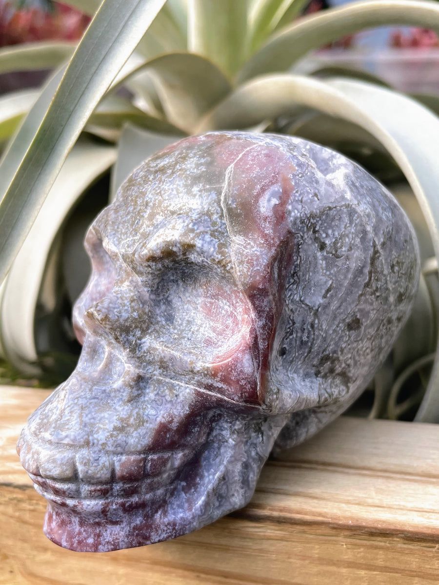 Large Druzy Ocean Jasper Skull Carving