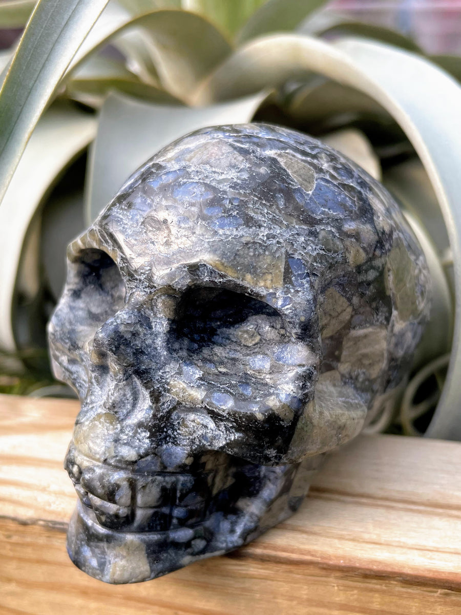 Large Llanite / Que Sera Skull Carving