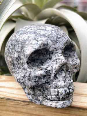 Large Granite Skull Carving