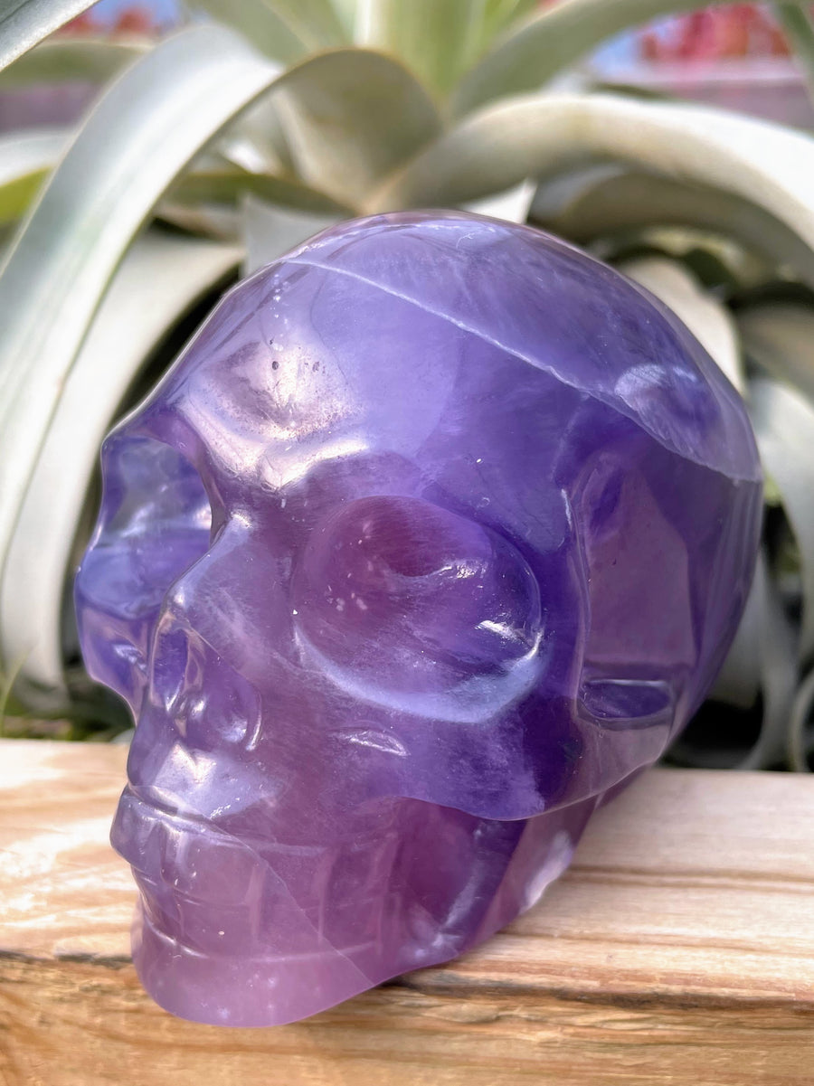 Large Purple Fluorite Skull Carving
