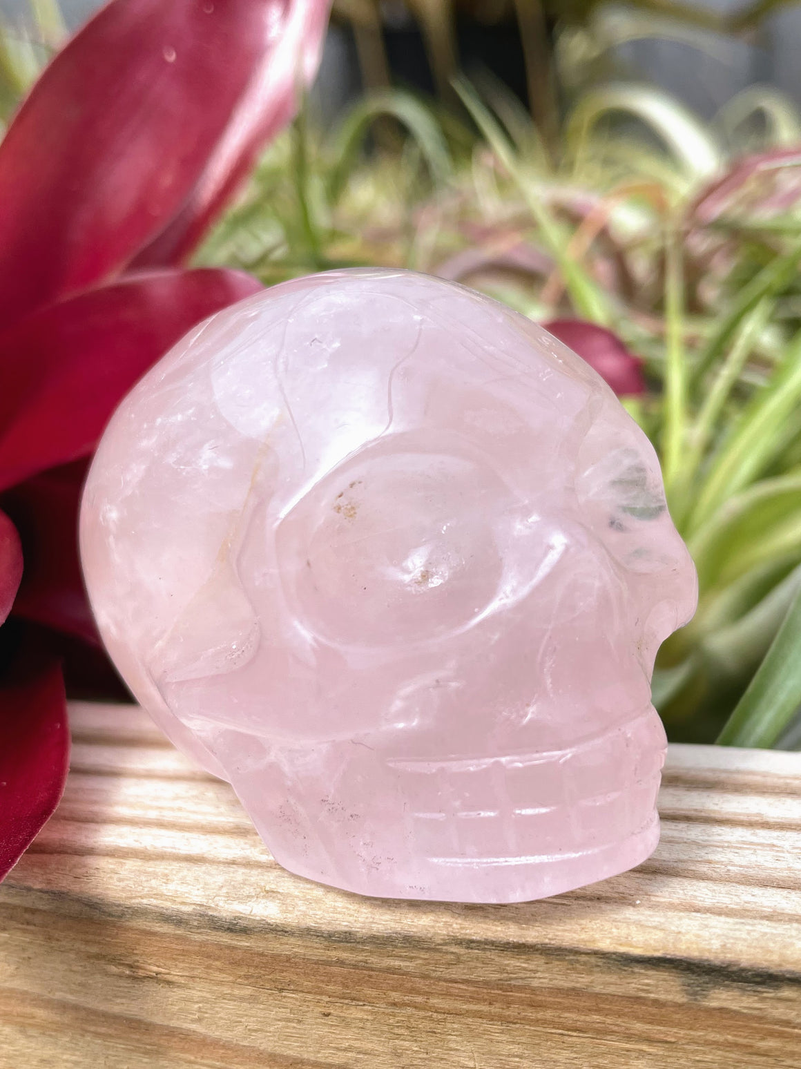 Medium Rose Quartz Skull Carving