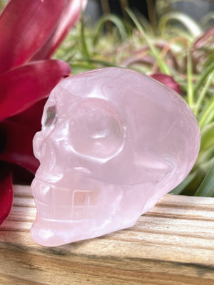 Medium Rose Quartz Skull Carving
