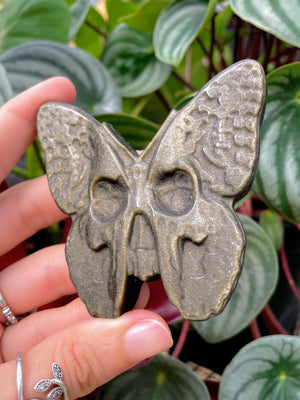 Gold Sheen Obsidian Butterfly Skull Crystal Carving