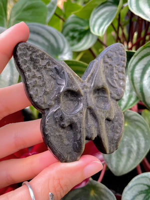 Gold Sheen Obsidian Butterfly Skull Crystal Carving