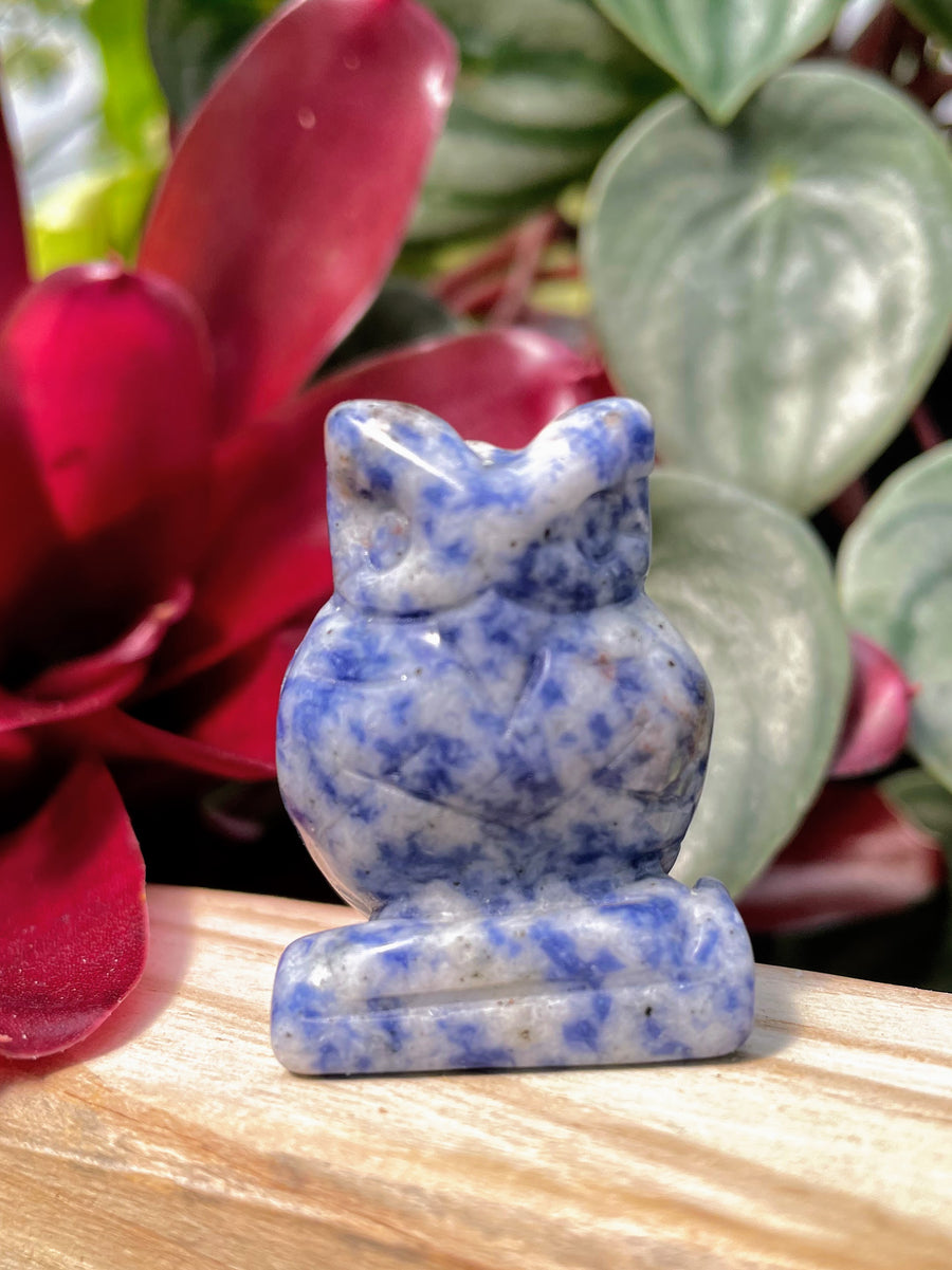 Sodalite Owl Crystal Carving