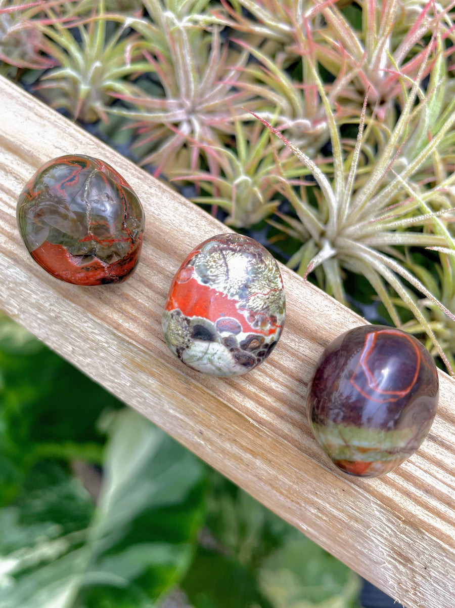 Money Agate Tumble