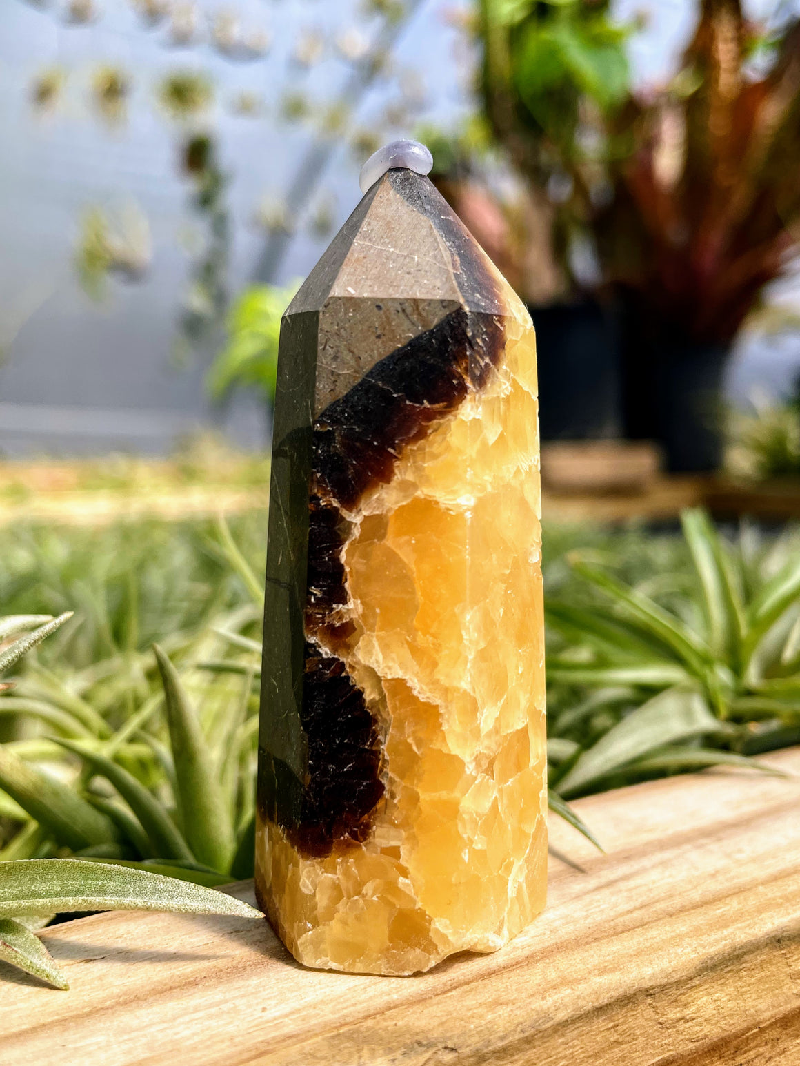 Septarian Stone Crystal Point