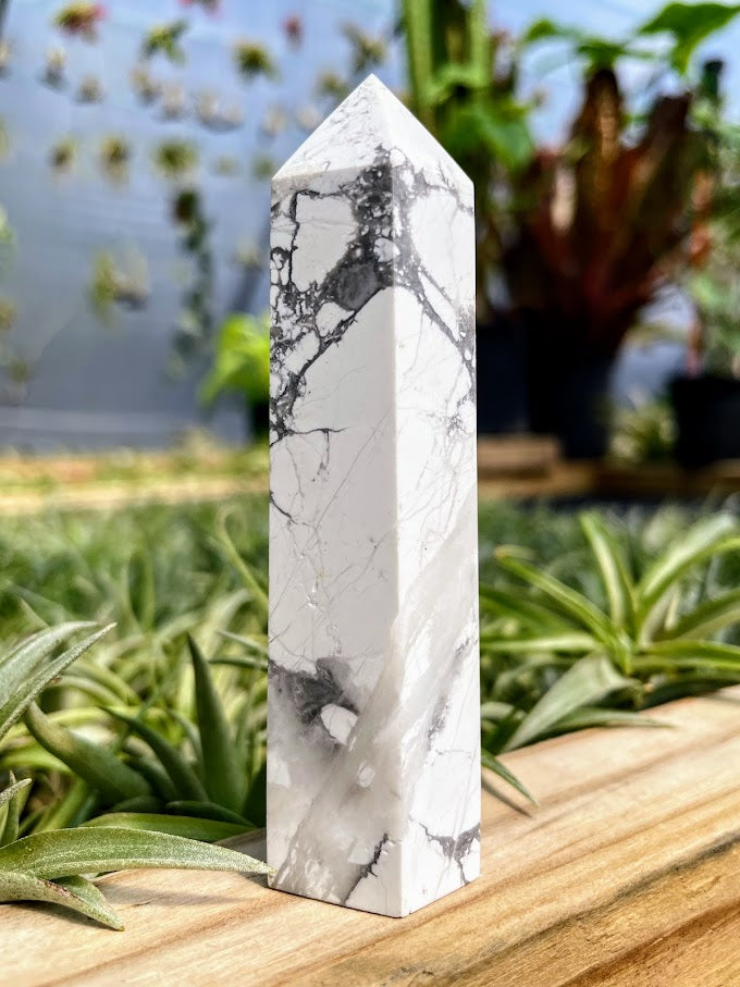 Howlite pierre blanche - Planète-Cristal