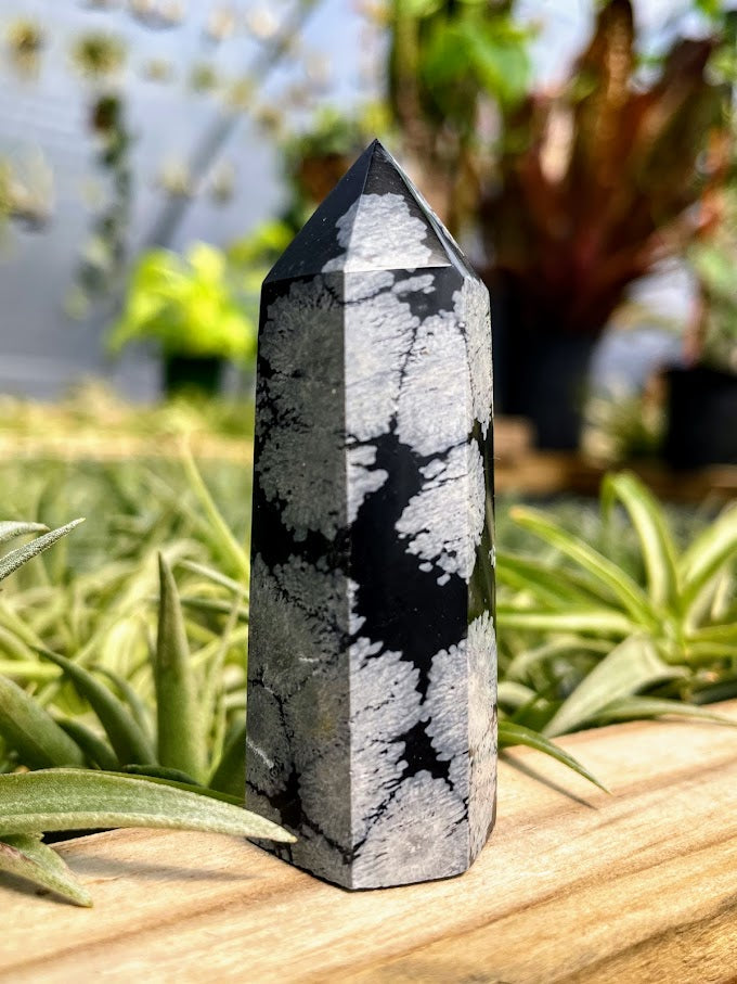 Snowflake Obsidian Crystal Point