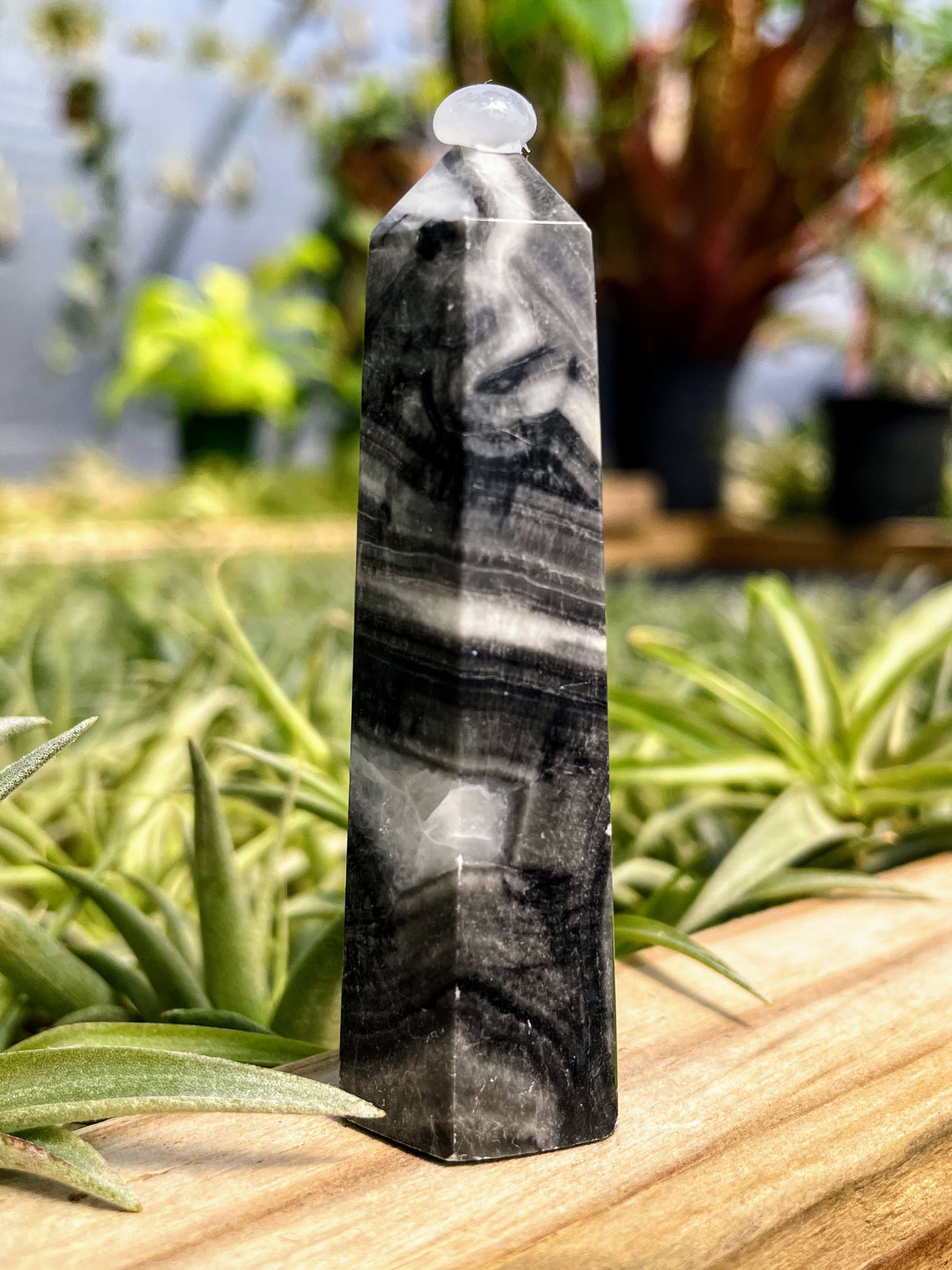 Picasso Jasper Crystal Point