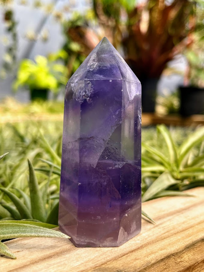 Purple Fluorite Crystal Point TheDrunkenGnome Airplant