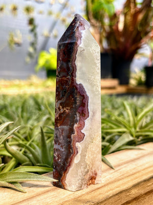 Mexican Lace Agate Crystal Point