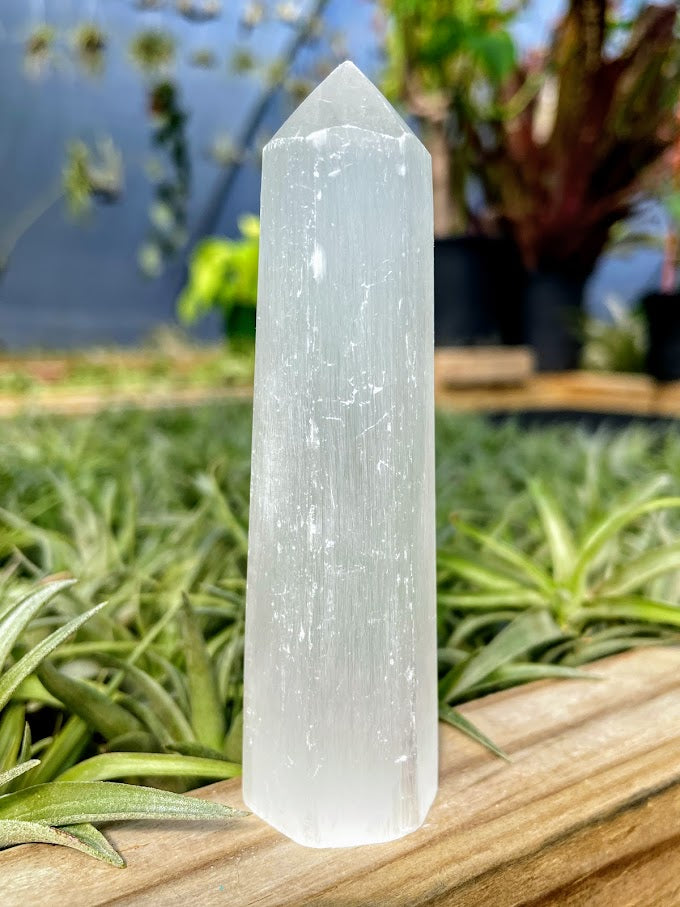 Selenite Crystal Point