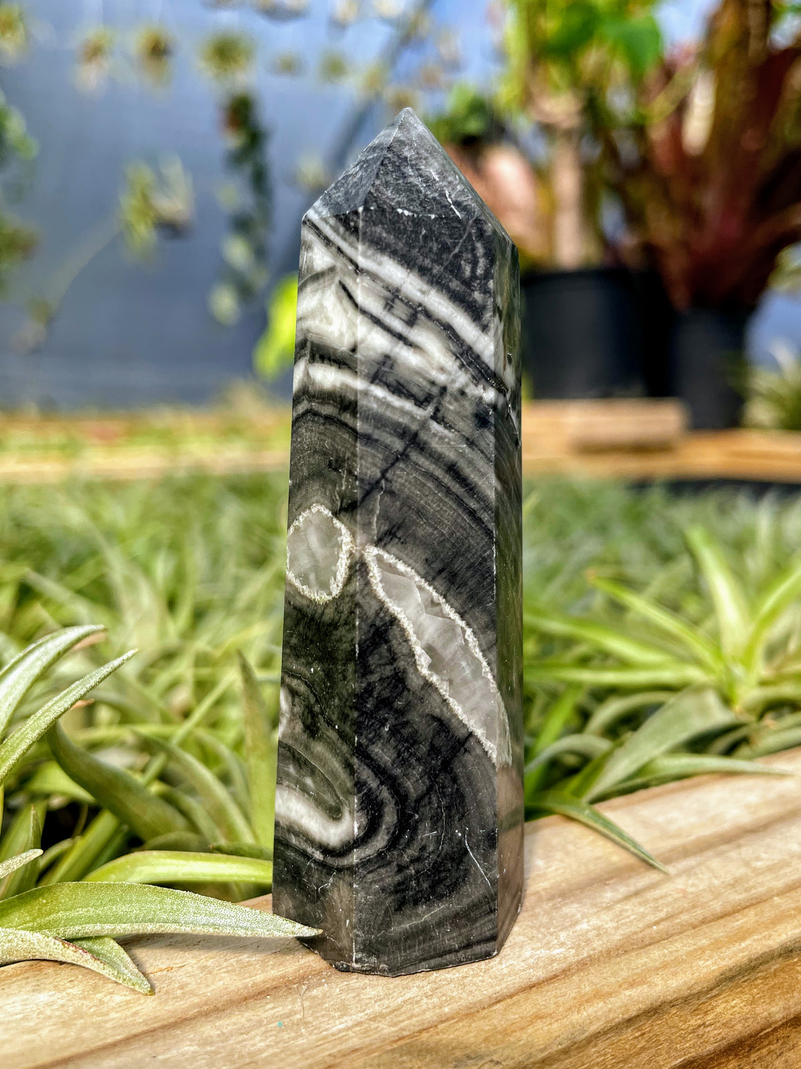 Picasso Jasper Crystal Point