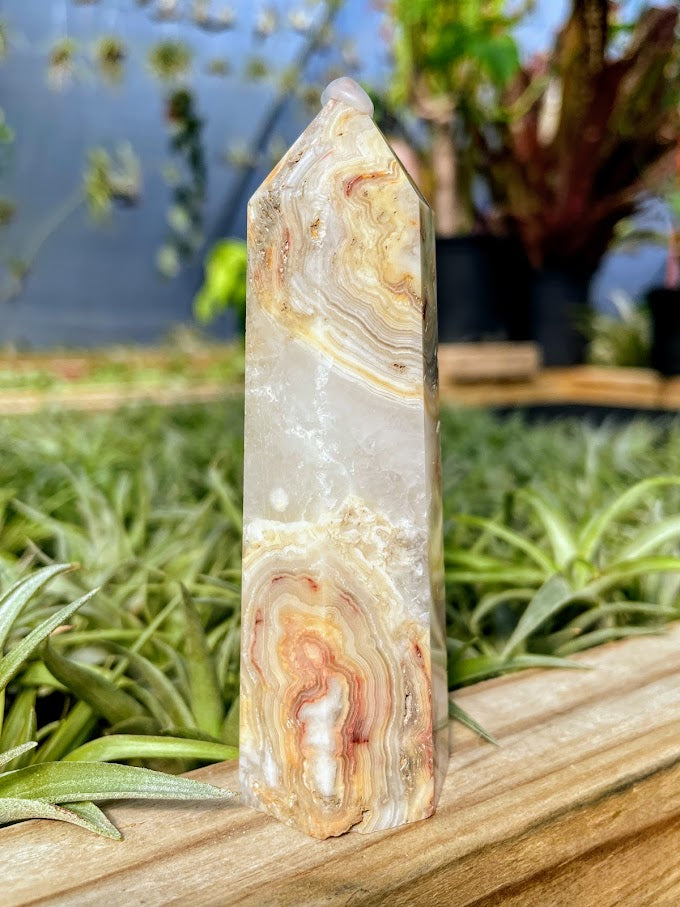 Crazy Lace Agate Crystal Point