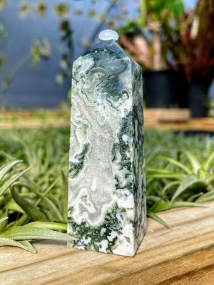 Tree Agate Crystal Point