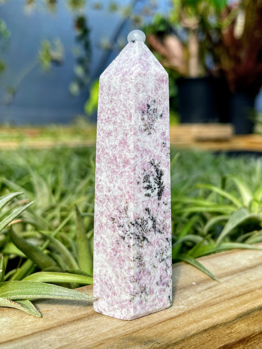 Purple Mica in Dendrite Crystal Point