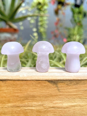 Mini Purple Luminous Crystal Mushroom