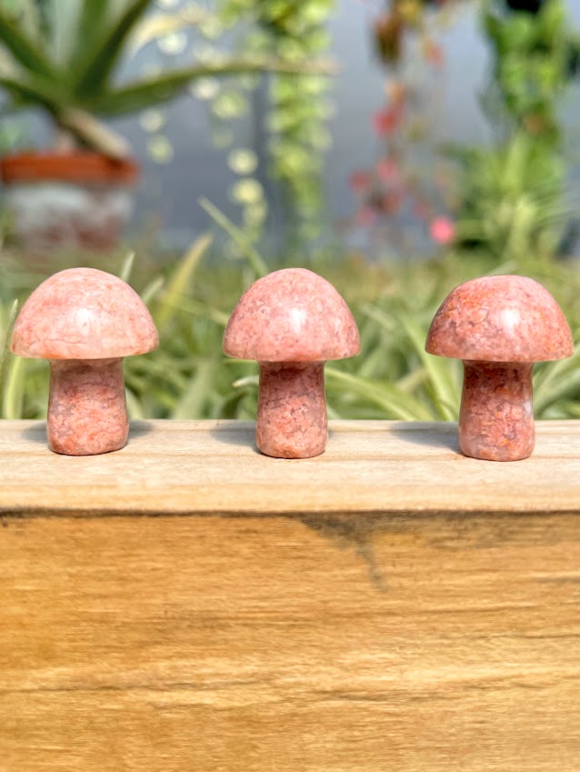 Mini Sunstone Crystal Mushroom