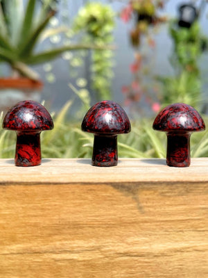 Mini Red Obsidian Crystal Mushroom