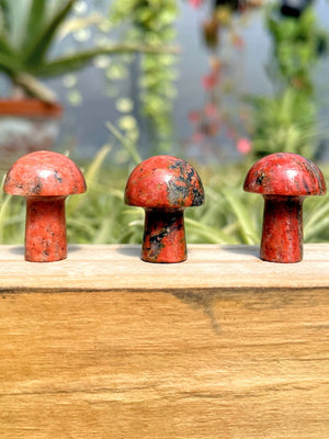 Mini Unakite Crystal Mushroom
