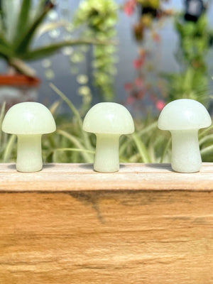 Mini Luminous Crystal Mushroom