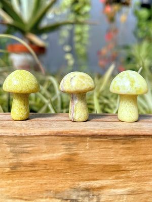 Mini Serpentine Crystal Mushroom