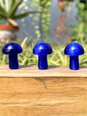 Mini Blue Cats Eye Crystal Mushroom