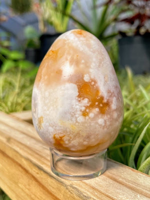 Flower Agate Crystal Egg - Sellers Choice