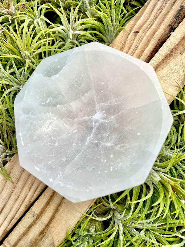 Selenite Octagon Crystal Bowl - TheDrunkenGnome Airplant Co.