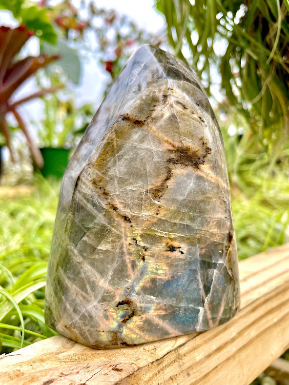 WYSIWYG- Rainbow Labradorite Freeform