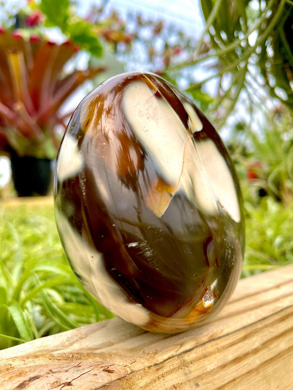 WYSIWYG- Orca Agate Freeform