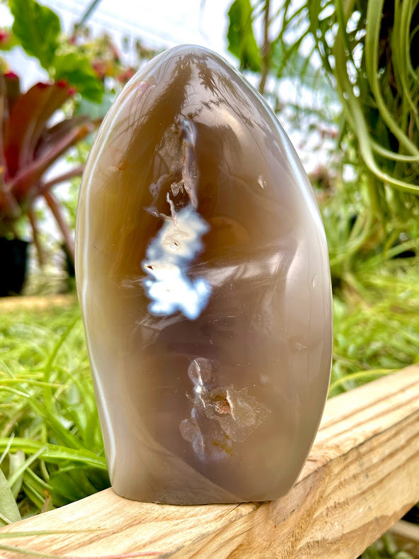WYSIWYG- Orca Agate Freeform