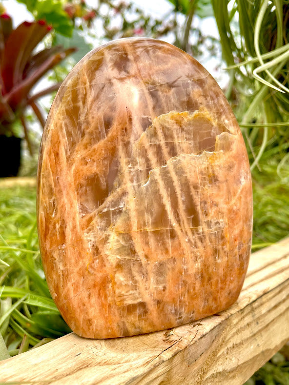 WYSIWYG- Peach Moonstone Freeform