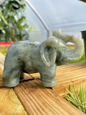 WYSIWYG- Labradorite Elephant