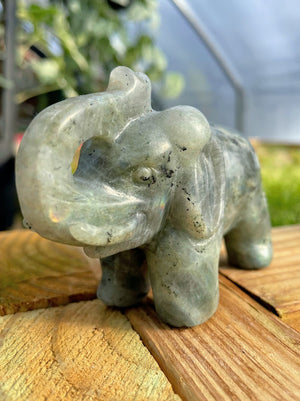 WYSIWYG- Labradorite Elephant