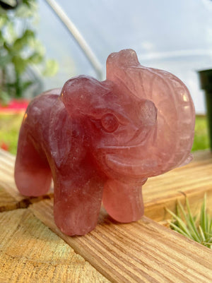 WYSIWYG- Strawberry Quartz Elephant