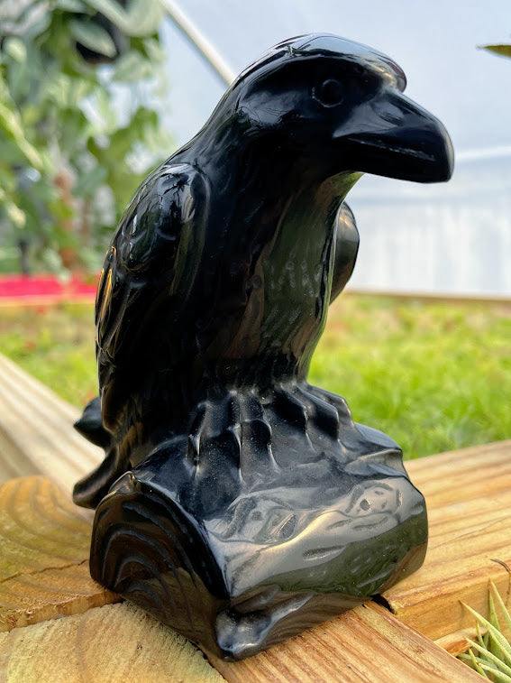 WYSIWYG- Black Obsidian Crow