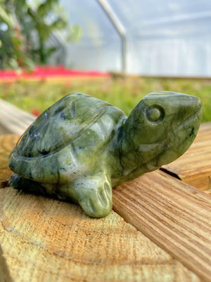 WYSIWYG- Green Jade Turtle