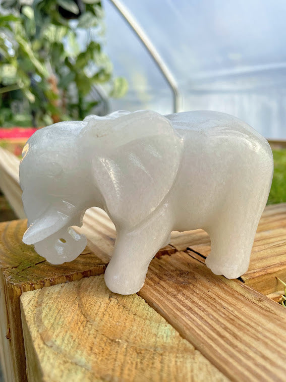 WYSIWYG- White Jade Elephant