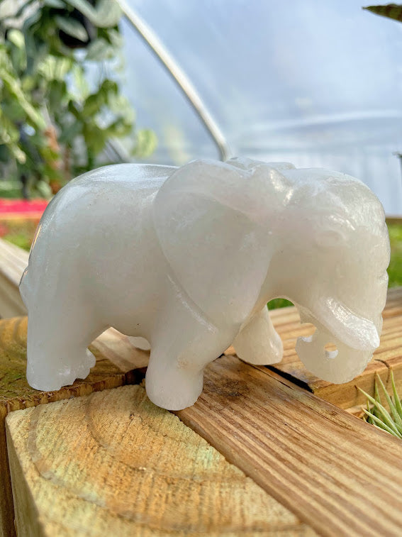 WYSIWYG- White Jade Elephant