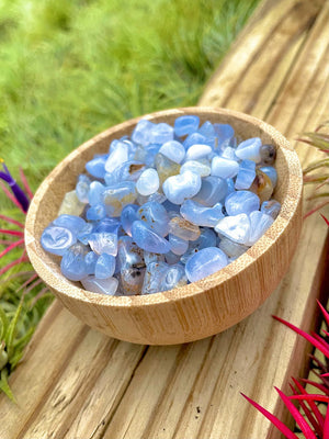 Blue Lace Agate Crystal Chips 1/4 cup (3oz)
