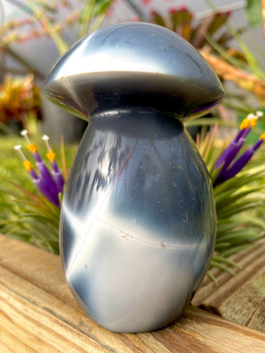 WYSIWYG- Orca Agate Mushroom