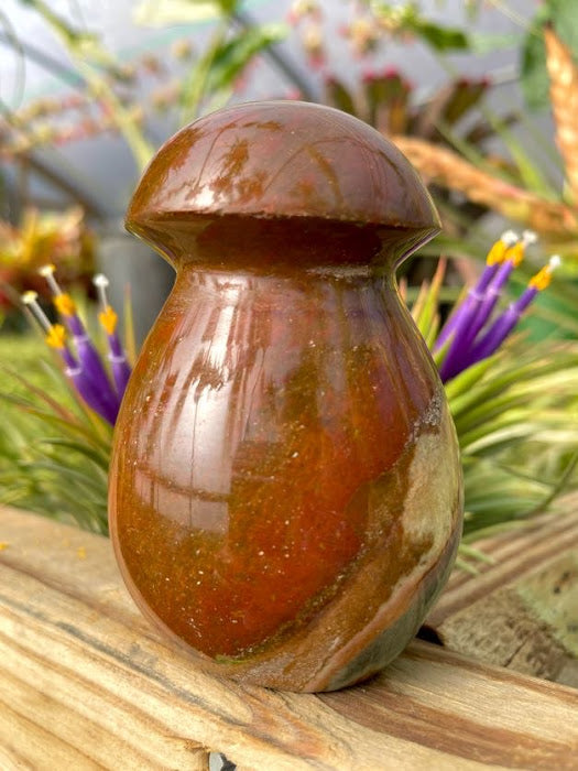WYSIWYG- Ocean Jasper Mushroom