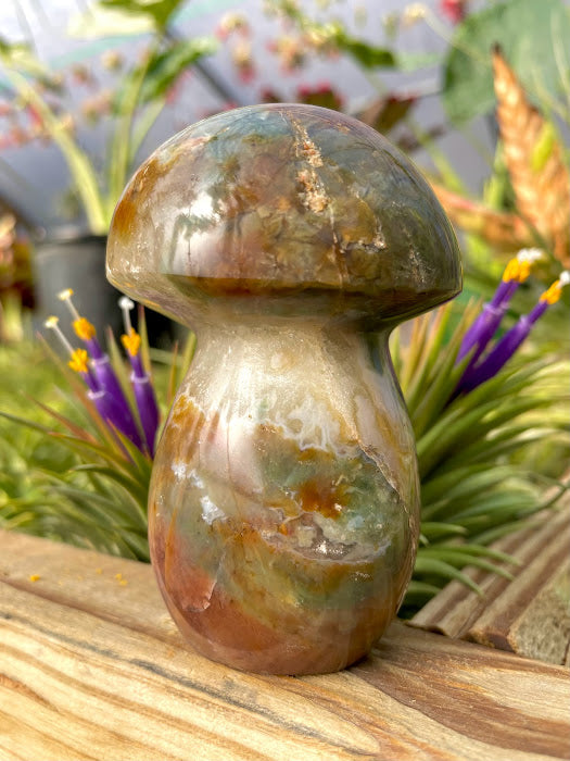 WYSIWYG- Ocean Jasper Mushroom