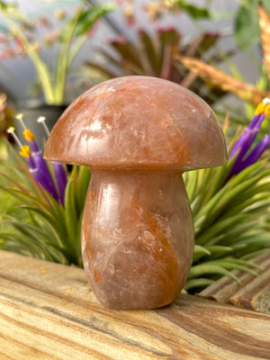 WYSIWYG- Fire Quartz Mushroom