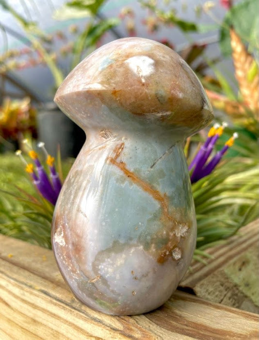 WYSIWYG- Ocean Jasper Mushroom