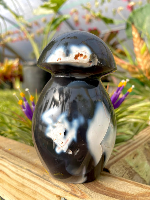 WYSIWYG- Orca Agate Mushroom