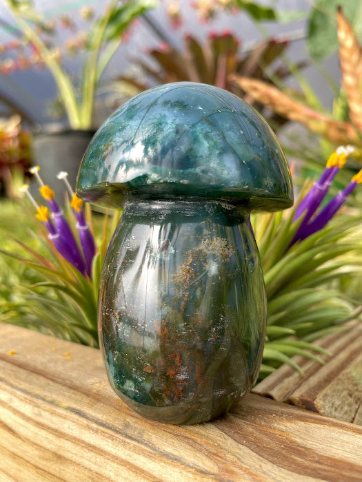 WYSIWYG- Ocean Jasper Mushroom